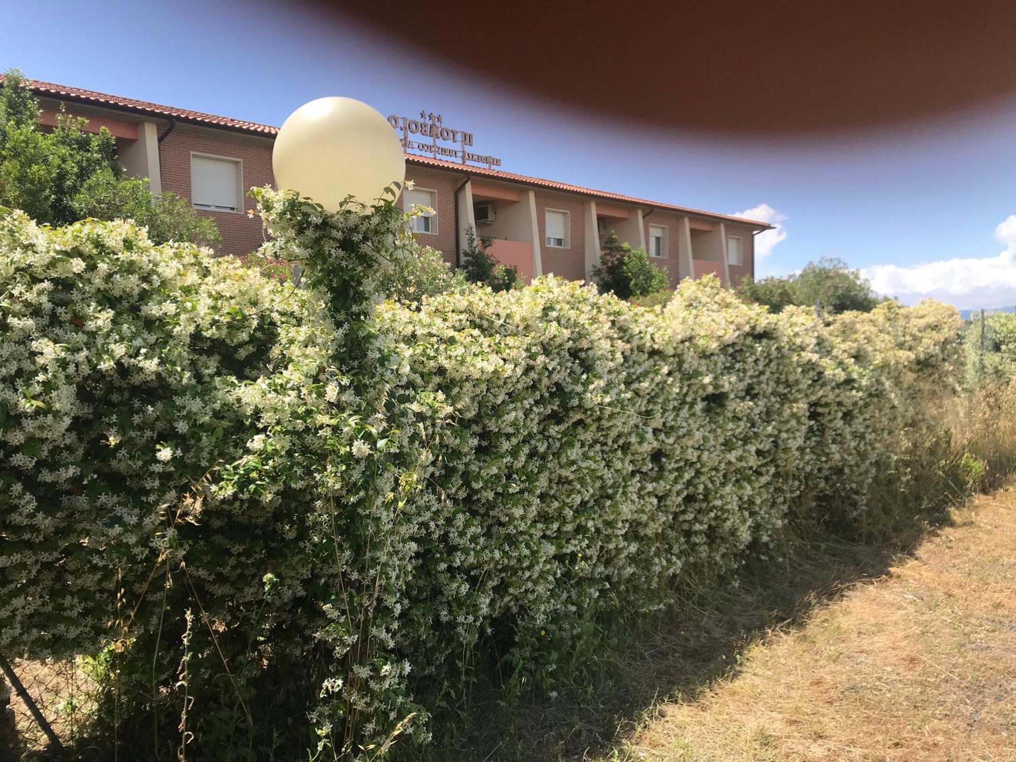 Residence Il Tombolo Principina a Mare Zewnętrze zdjęcie